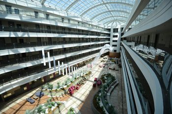 Green Nature Diamond