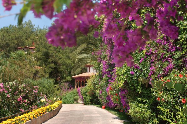 Туреччина у травні