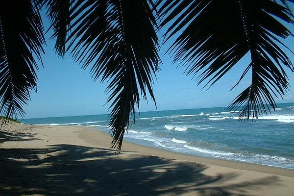 Домінікана