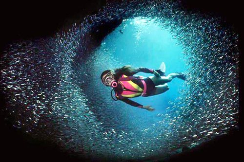 Дайвінг у Єгипті