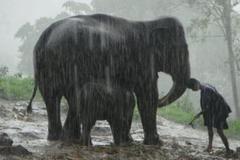 Погода в Таїланді