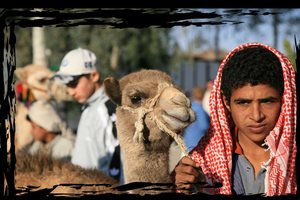 Бедуїни Єгипту