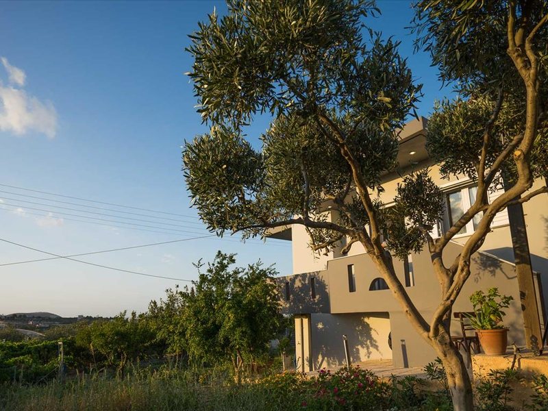 1 Bedroom Detached House In Patsides RE0434 262962