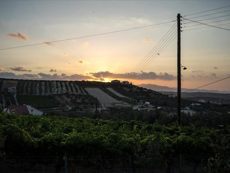 1 Bedroom Detached House In Patsides RE0434 262969