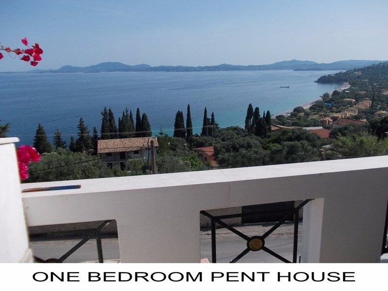 1 Bedroom Flat in Barbati RE0230 263114