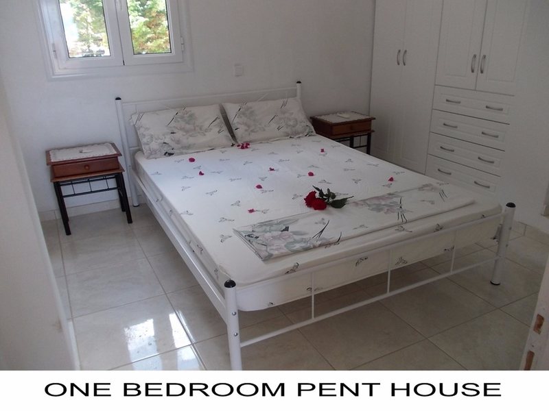1 Bedroom Flat in Barbati RE0230 263120