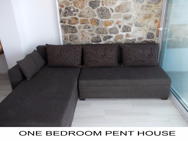 1 Bedroom Flat in Barbati RE0230 263124