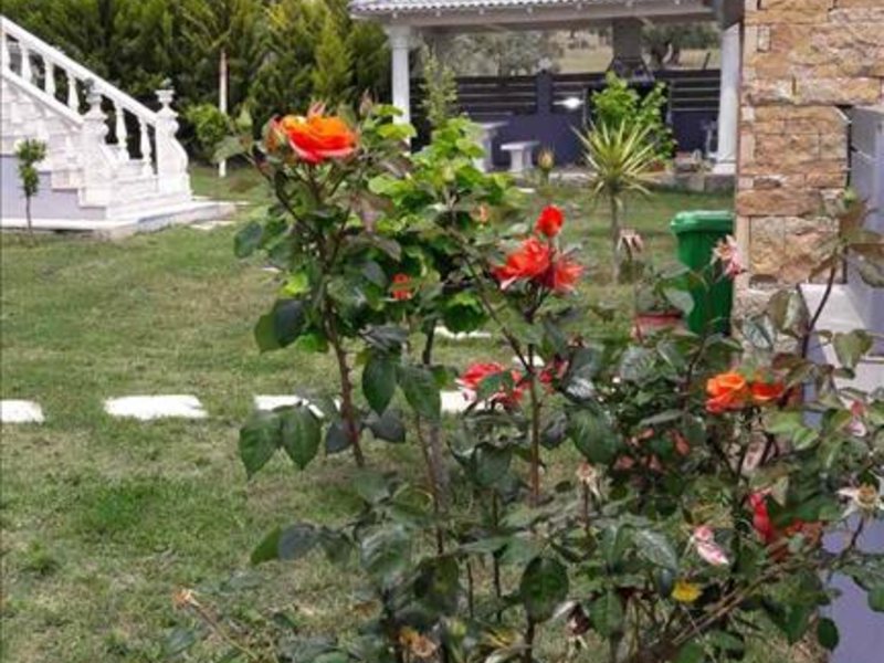 1 Bedroom Flat in Gerakini RE0629 263151