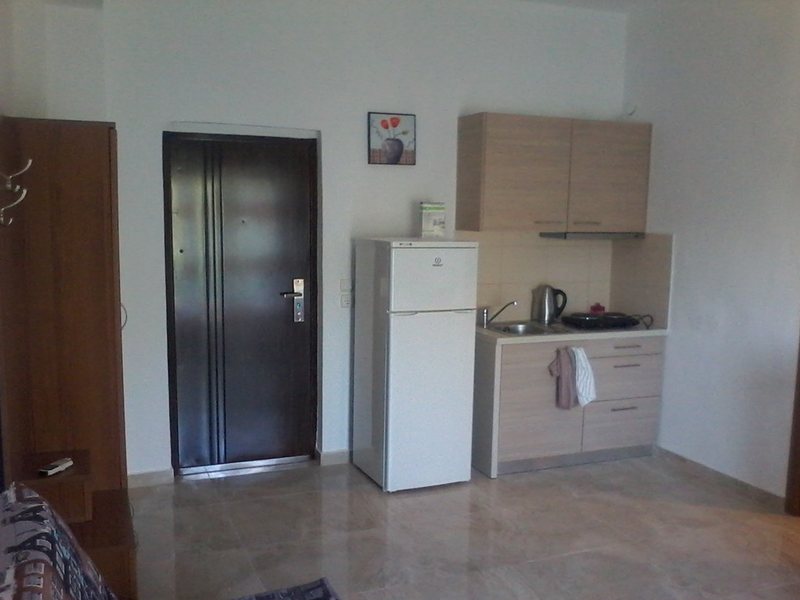 1 Bedroom Flat in Gerakini RE0630 263159