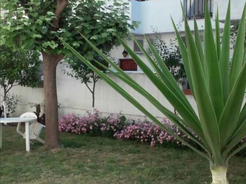 1 Bedroom Flat in Kalithea RE0863 263232