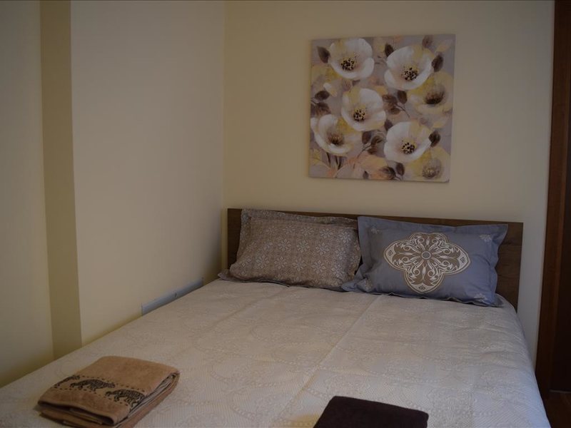 1 Bedroom Flat in Thessaloniki RE0309  263487