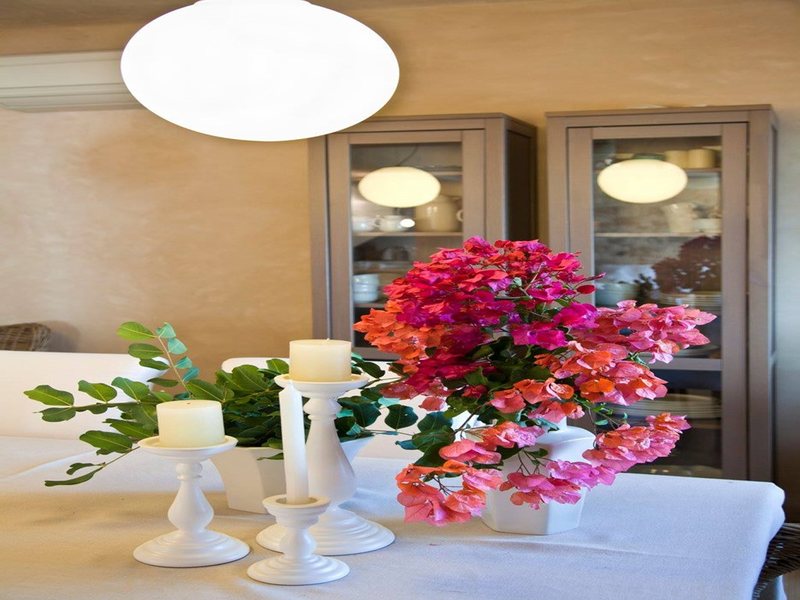 1 Bedroom Villa in Agia Pelagia RE0589 263540