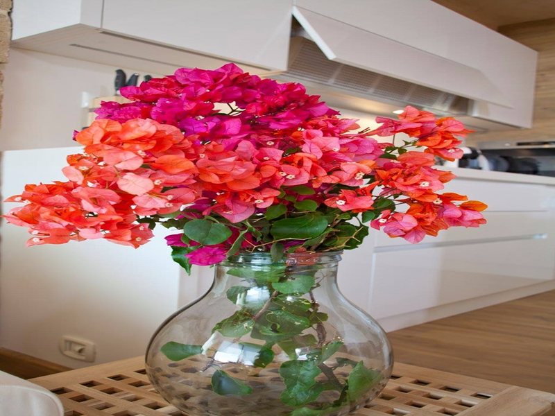 1 Bedroom Villa in Agia Pelagia RE0589 263542