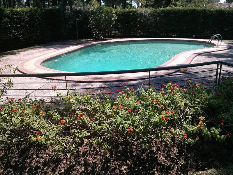 2 Bedroom Detached House in Akti Sani RE0045  265900