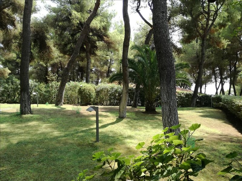 2 Bedroom Detached House in Akti Sani RE0045  265901