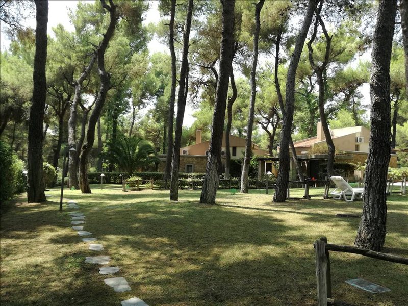 2 Bedroom Detached House in Akti Sani RE0045  265905