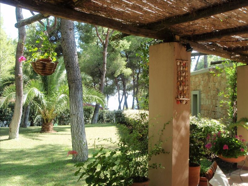 2 Bedroom Detached House in Akti Sani RE0045  265909