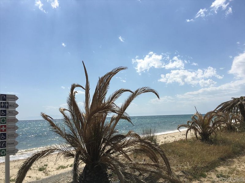 2 Bedroom Detached House in Nea Triglia RE0744 263663