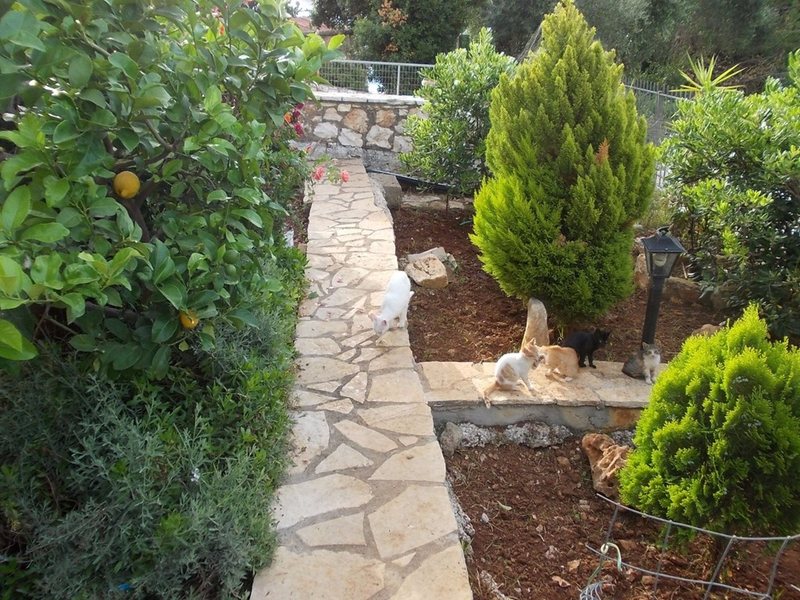 2 Bedroom Flat in Barbati RE0228 263832