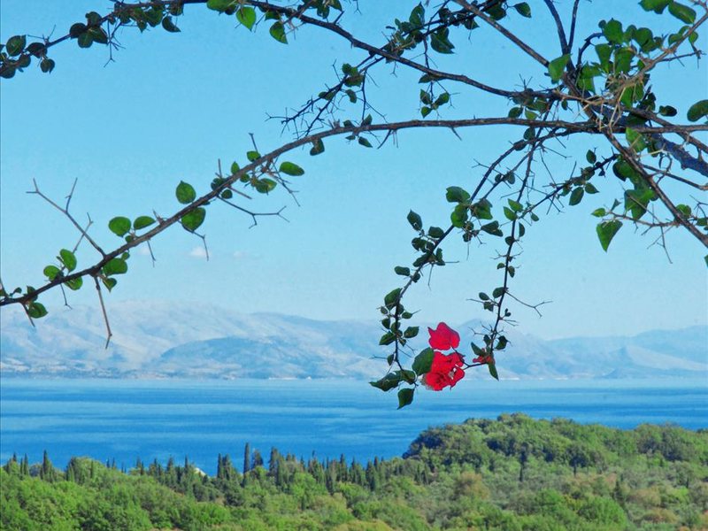 2 Bedroom Flat in Kato Korakiana RE0317 264044