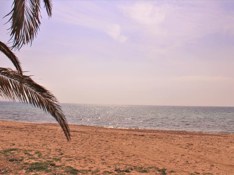 2 Bedroom Flat in Paralia Dionysioy RE0400 264412