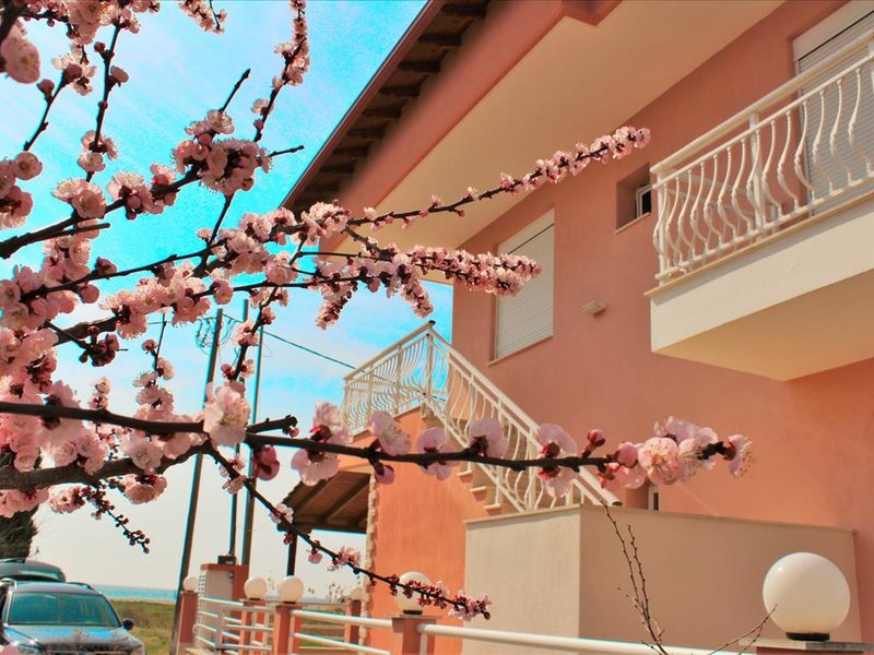 2 Bedroom Flat in Paralia Dionysioy RE0400 264416