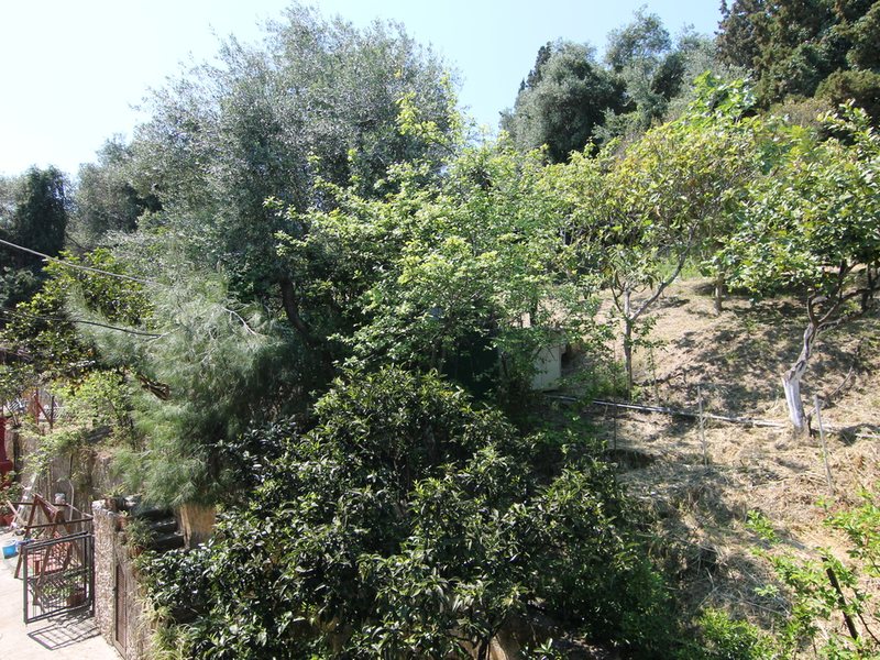 2 Bedroom Flat in Perama RE0745 264438