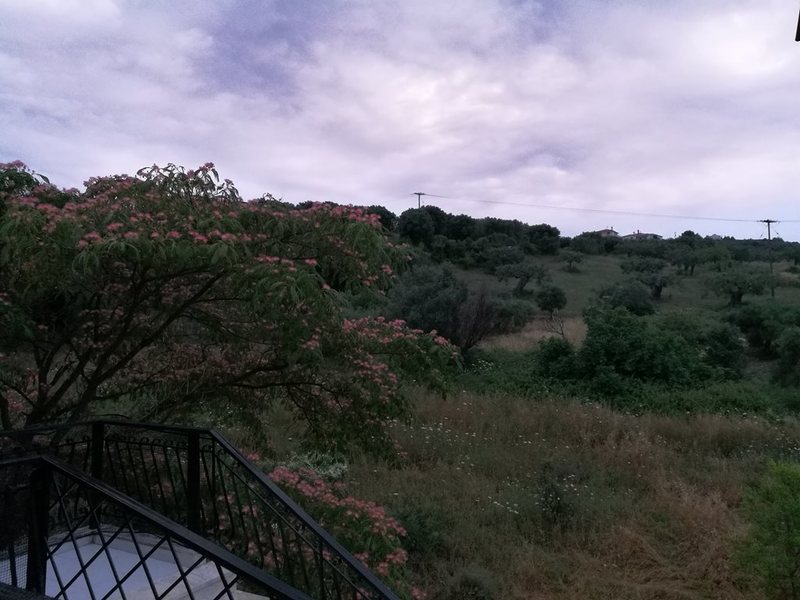 2 Bedroom Flat in Polichrono RE0811 264474