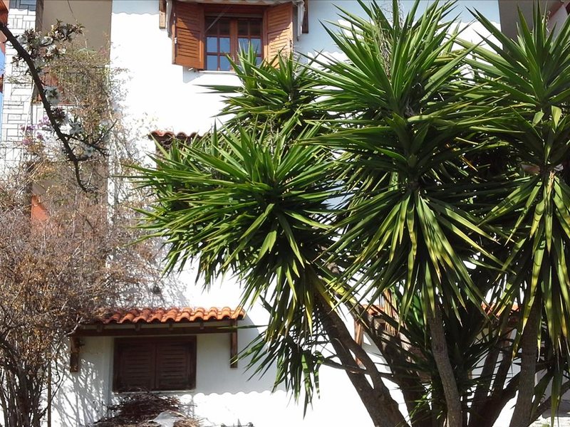 2 Bedroom Flat in Porto Carras RE0339 264479