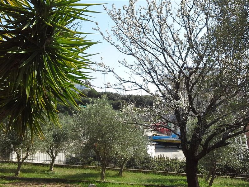 2 Bedroom Flat in Porto Carras RE0339 264480