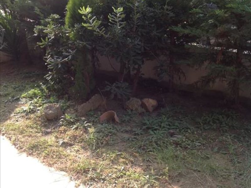 2 Bedroom Flat in Thessaloniki RE0599 264631