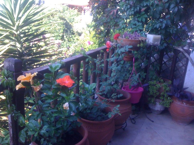 2 Bedroom Maisonette in Elani RE0587 264790