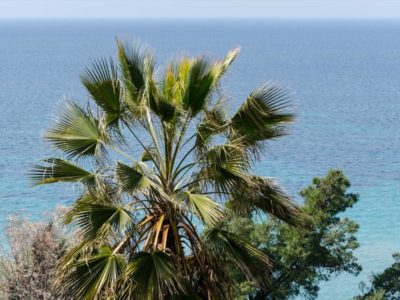 2 Bedroom Maisonette in Fourka RE0387 264829