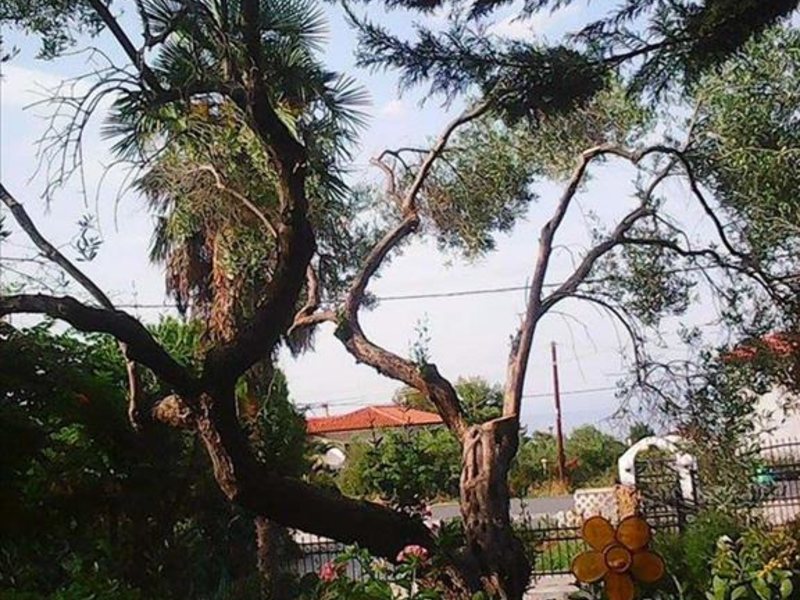 2 Bedroom Maisonette in Polichrono RE0498 265026