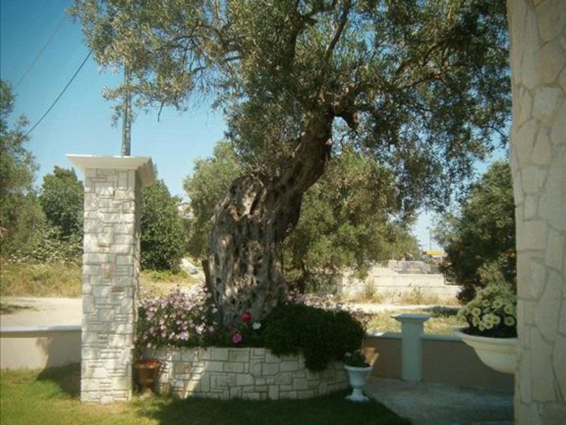 2 Bedroom Maisonette in Polichrono RE0524, RE0525, RE0526 265049