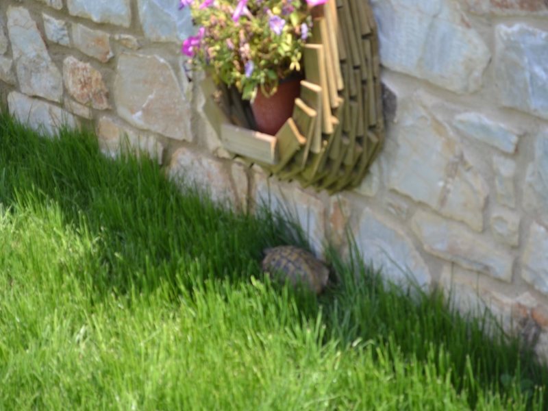 2 Bedroom Villa in Ag 265236