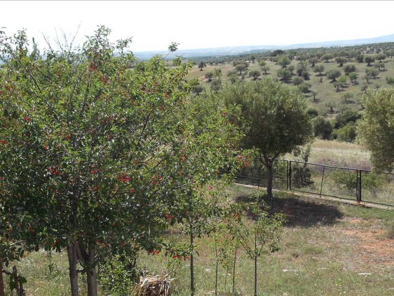 3 Bedroom Detached House in Gerakini RE0769  265788