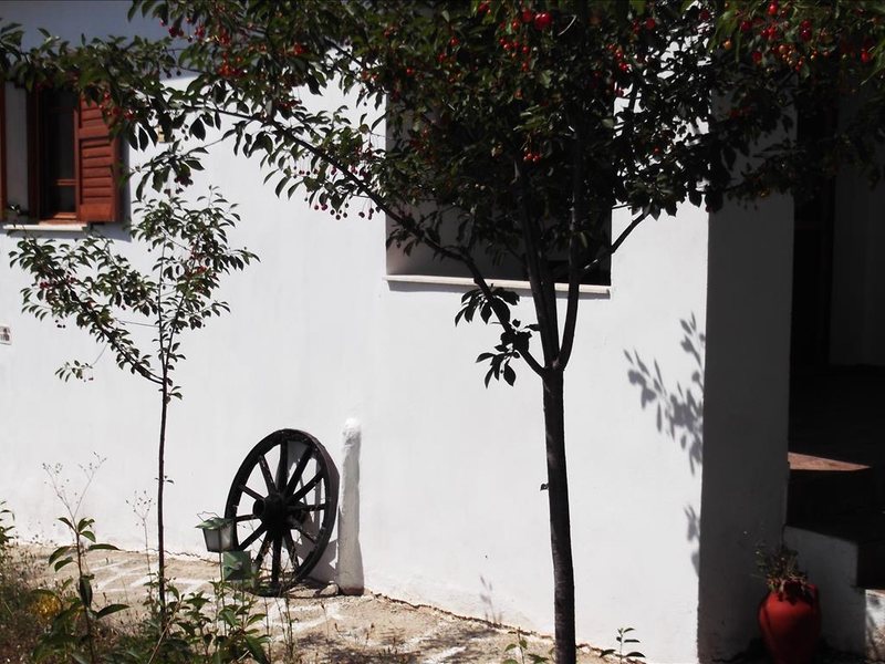 3 Bedroom Detached House in Gerakini RE0769  265791