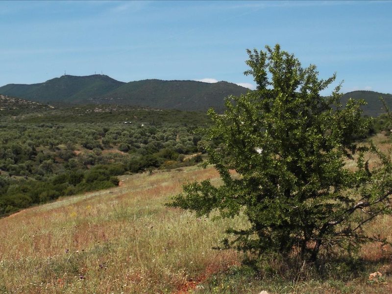 3 Bedroom Detached House in Gerakini RE0769  265792