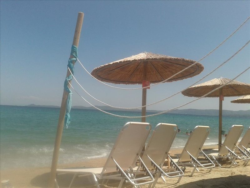 3 Bedroom Detached House in Ierissos RE0655 265817