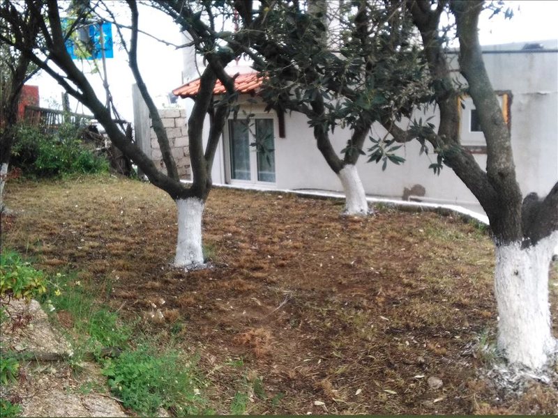 3 Bedroom Detached House in Ierissos RE0655 265818