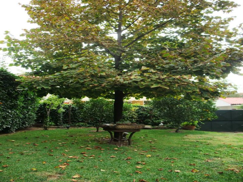 3 Bedroom Detached House in Nea Kallikratia RE0007 265920