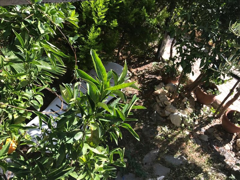 3 Bedroom Maisonette in Gerakini RE0867 266196