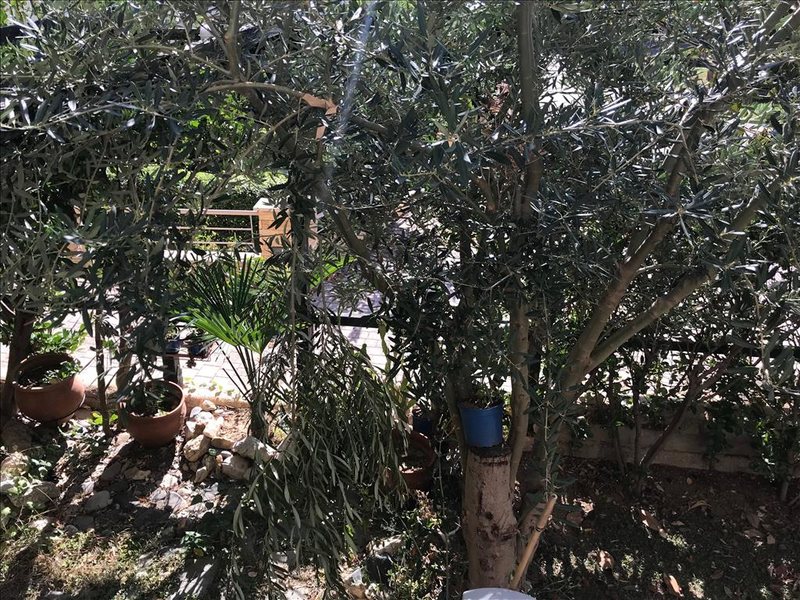 3 Bedroom Maisonette in Gerakini RE0867 266199