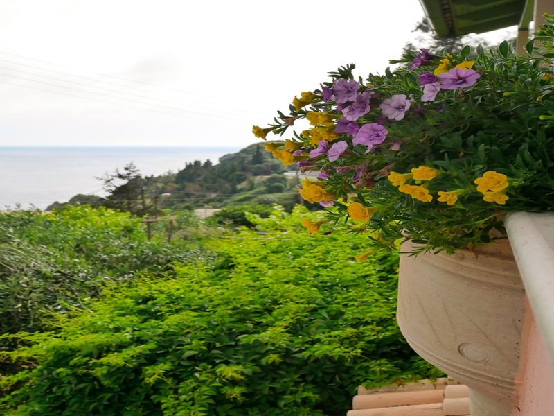 3 Bedroom Maisonette in Paleokastritsa RE0481  266518