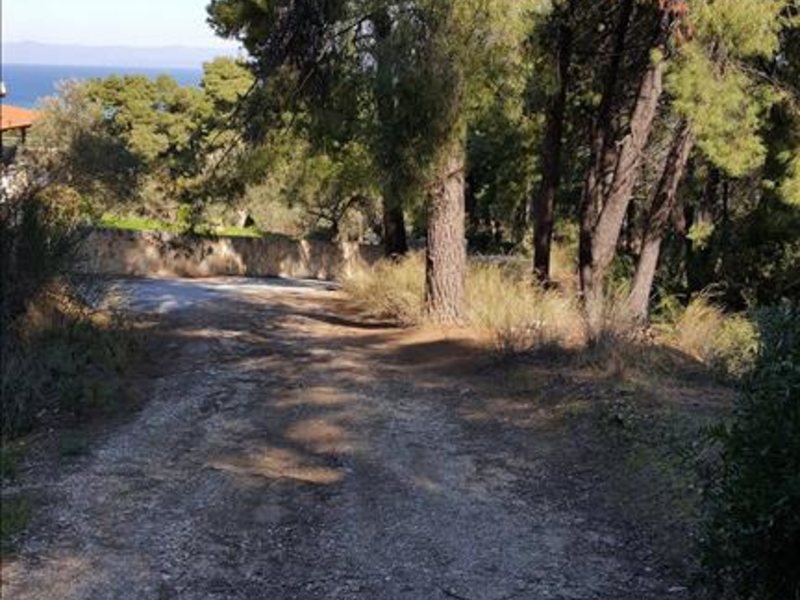 3 Bedroom Maisonette in Paliouri RE0606 266533