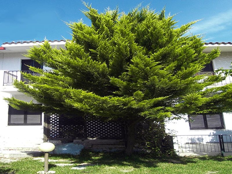 3 Bedroom Maisonette in Polichrono RE0536 266628