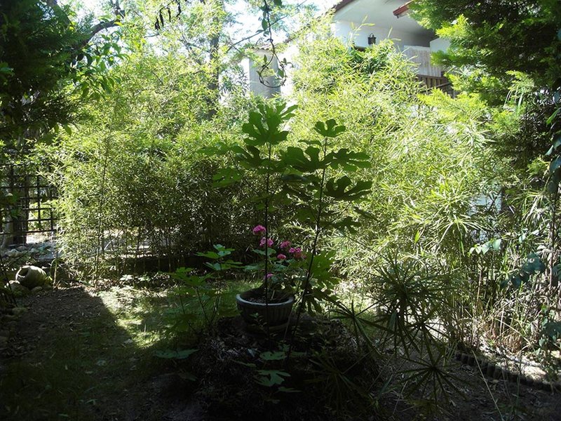 3 Bedroom Maisonette in Polichrono RE0536 266634