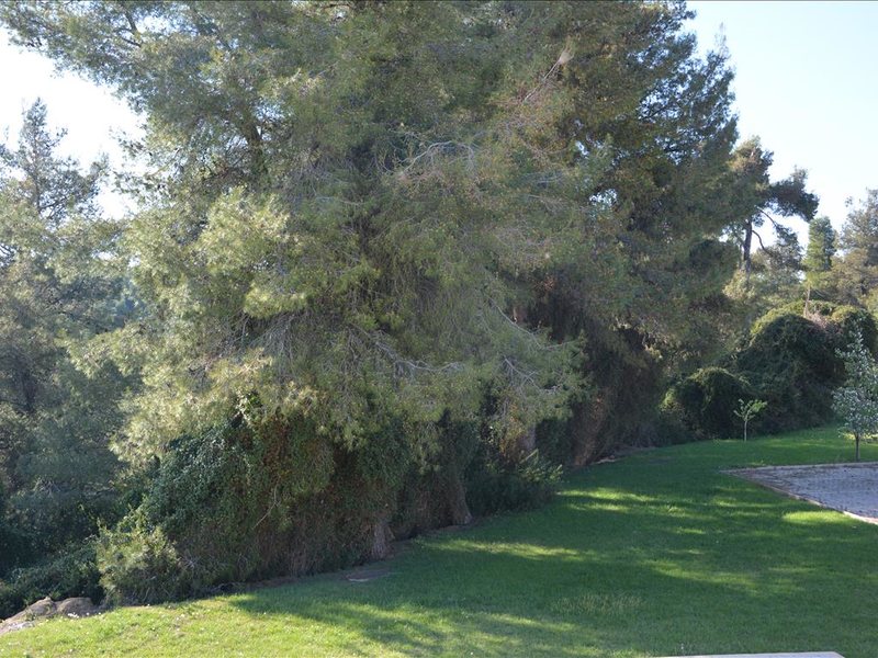 3 Bedroom Maisonette in Siviri RE0702 266692