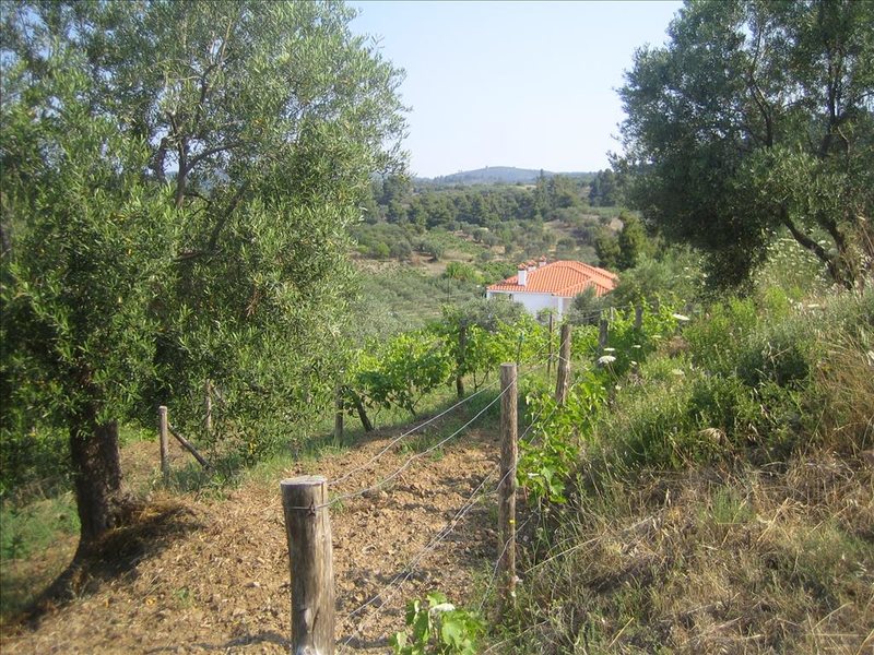 3 Bedroom Villa in Neos Marmaras RE0406 267095